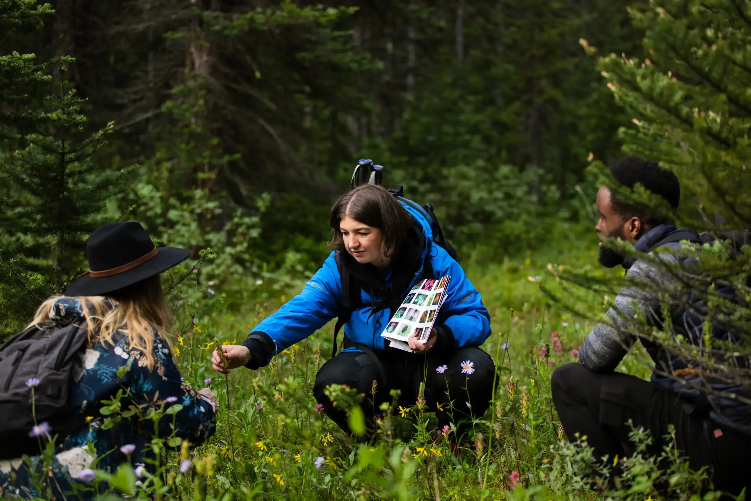 Small-group experience with expert local guiding