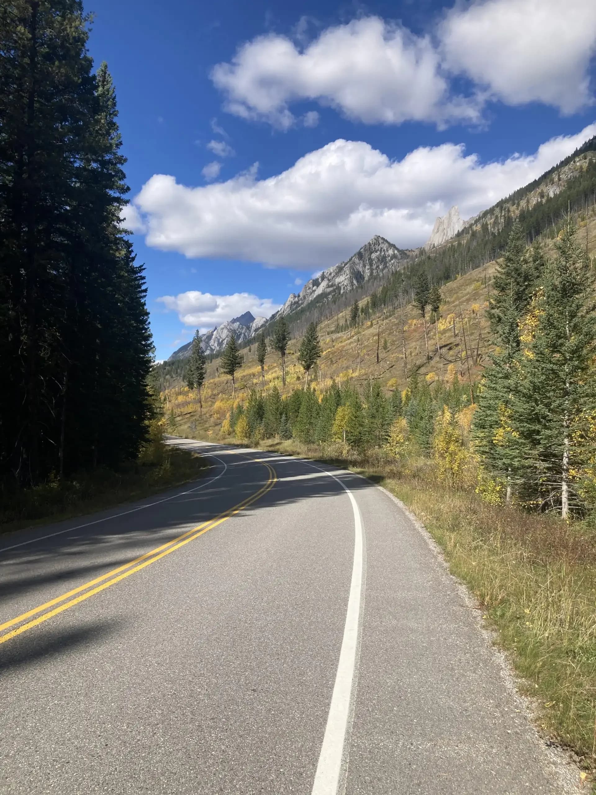 Bow Valley Parkway 