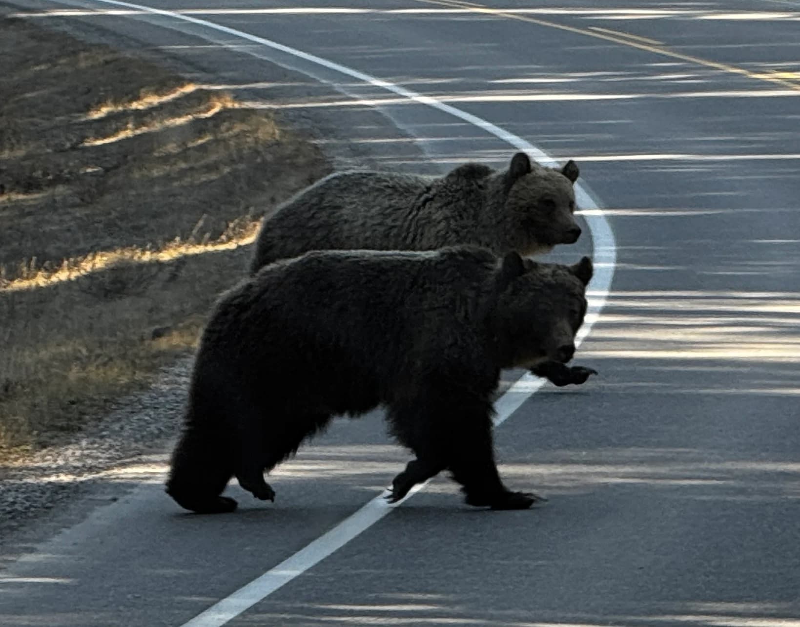 Sightseeing & Wildlife
