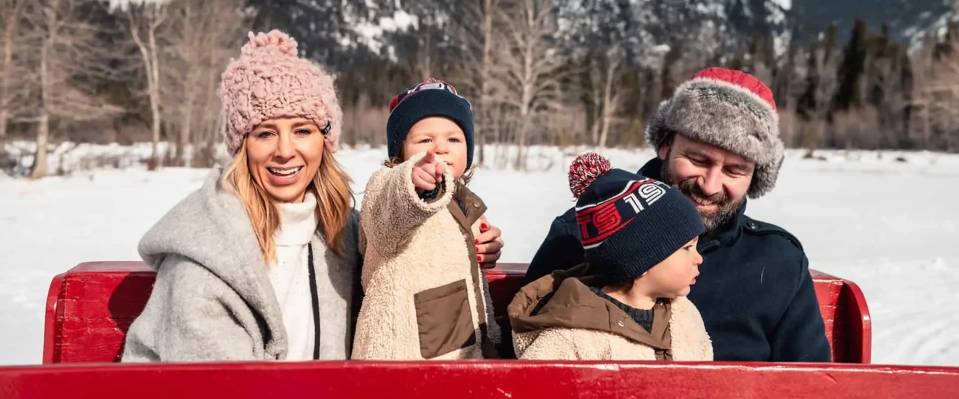 Private Family Sleigh Package