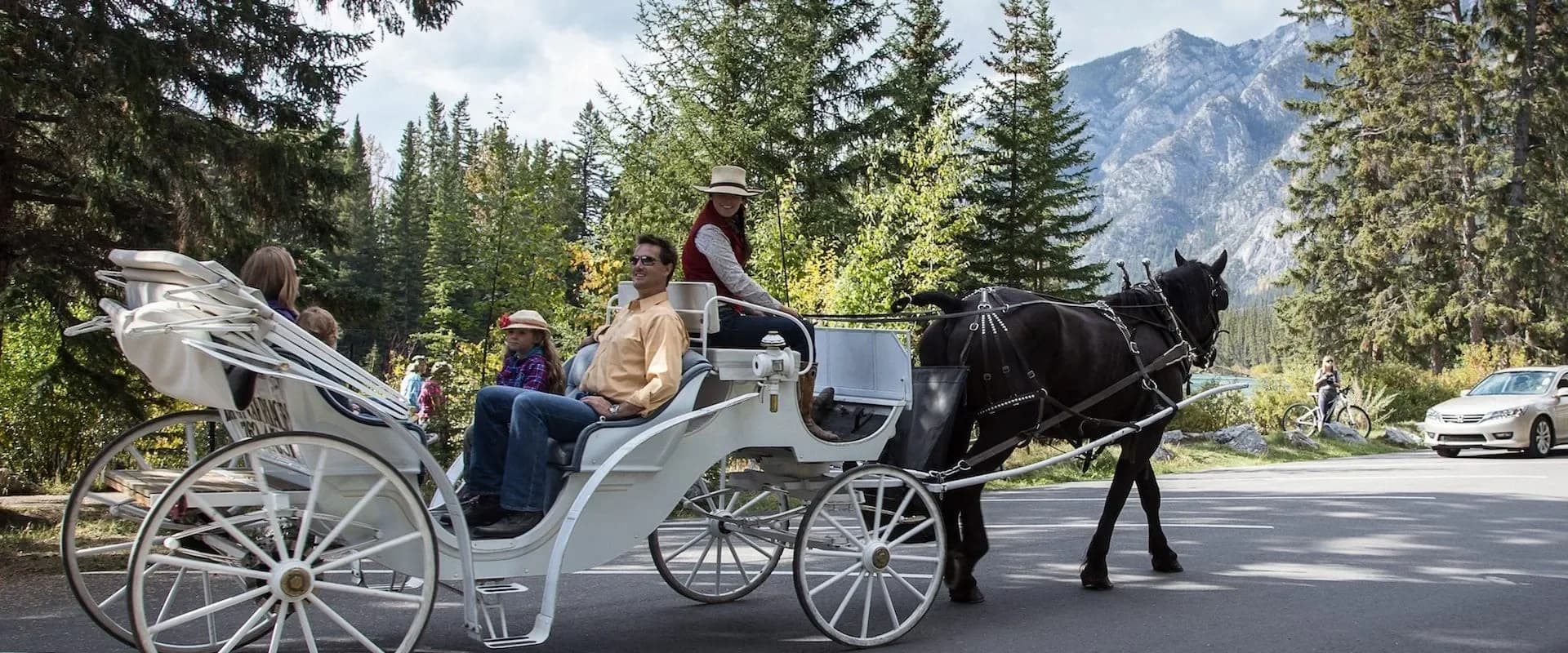Private Downtown Carriage Rides