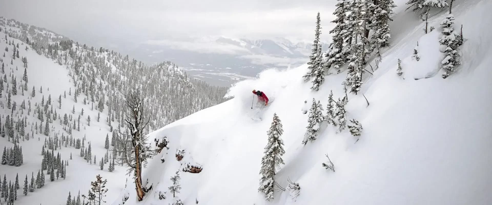 Kicking Horse Powder Express