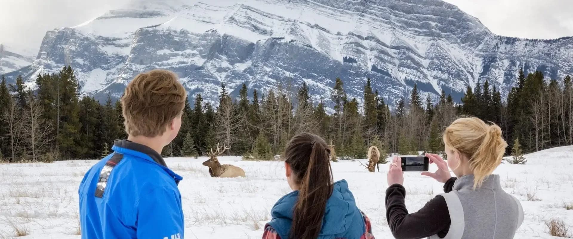 Yes, You Can Sightsee in Winter!