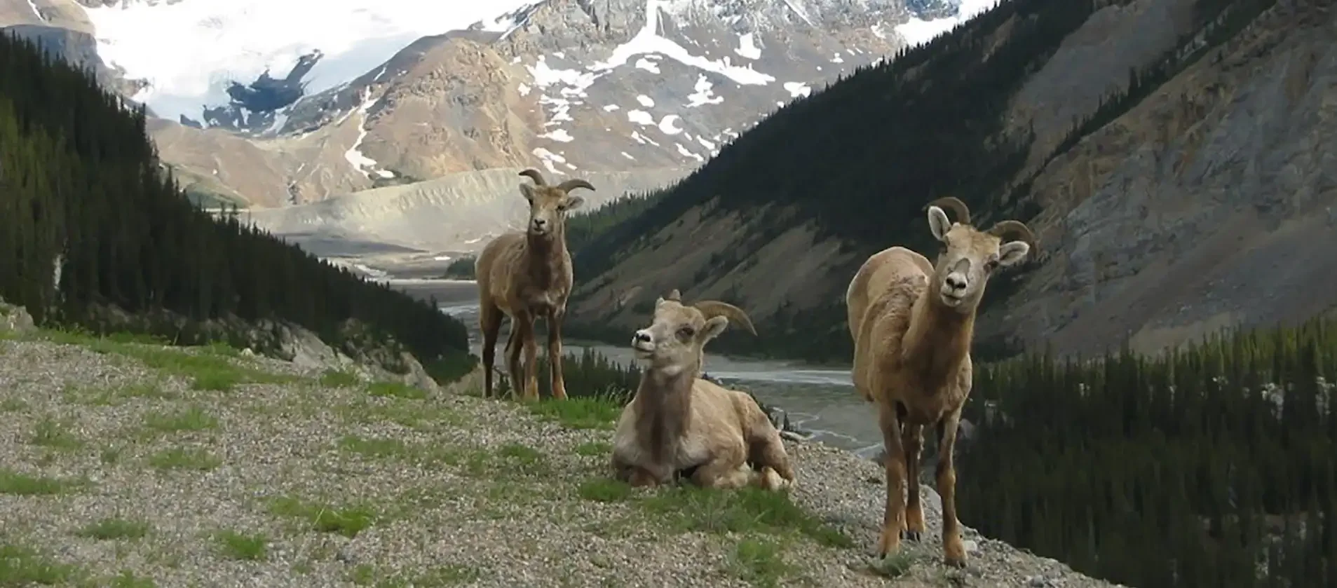 What To Do In Banff In May