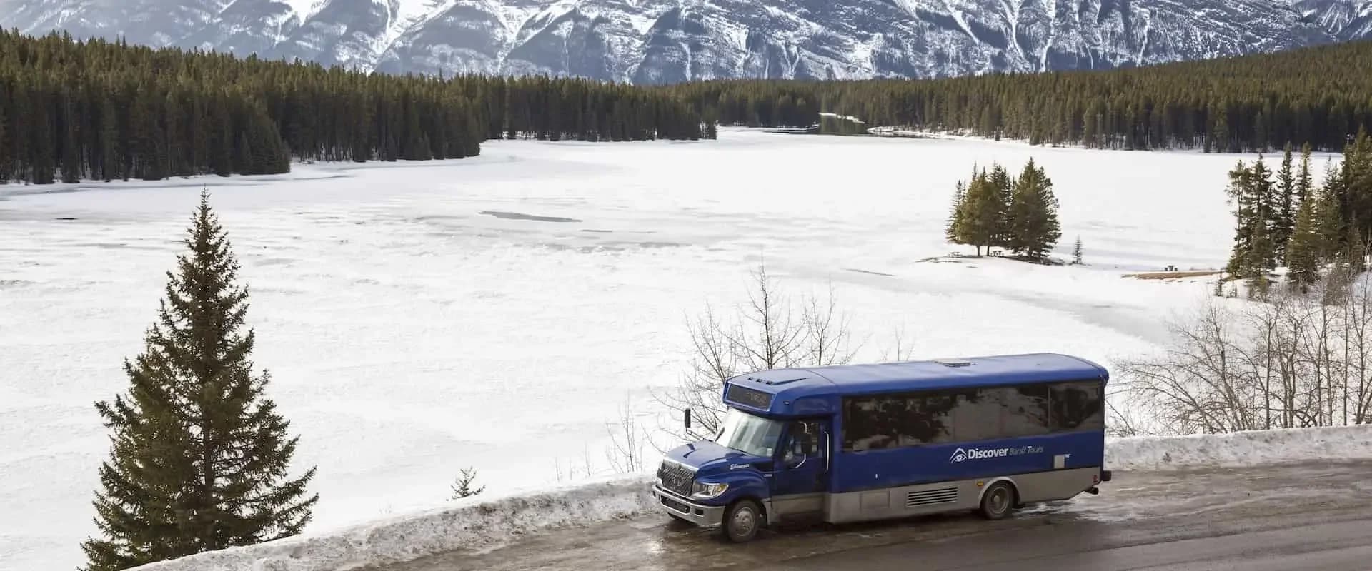 Comfortable Mini-Bus